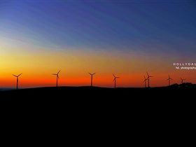 Starfish Hill Windfarm - Find Attractions 0