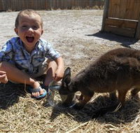 Animal Farm Goolwa - Find Attractions