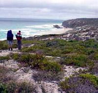 Murray Lagoon - Cape Gantheaume Conservation Park - Find Attractions