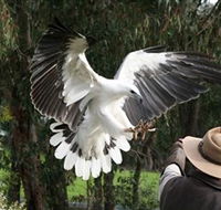 Raptor Domain - Find Attractions