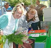 Victor Harbor Farmers Market - Find Attractions