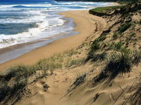 Book Waitpinga Accommodation Vacations Find Attractions Find Attractions