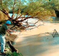 Charleville - Ward River Fishing Spot - Find Attractions