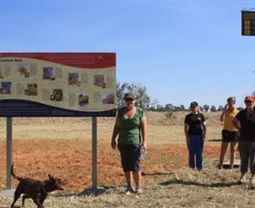 Coolibah Walk Tambo