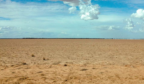 Toorale National Park - Find Attractions 1