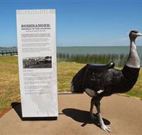Birdman of the Coorong - Find Attractions