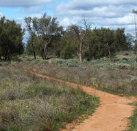 Grasslands Nature trail - Find Attractions