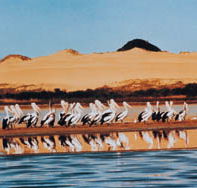 Coorong National Park - Find Attractions