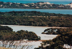 Coorong National Park - Find Attractions 2