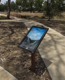 Wallam Creek, Bollon - Find Attractions 1