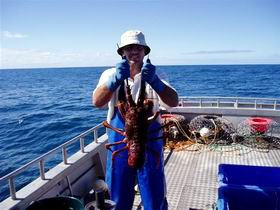 Lacepede Seafood - Find Attractions 2