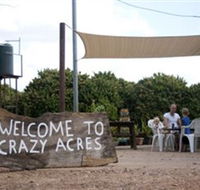Crazy Acres - Find Attractions