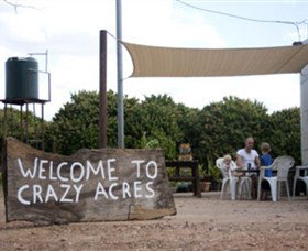 Crazy Acres - Find Attractions 0