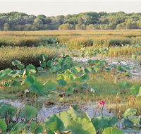 Fogg Dam Conservation Reserve - Find Attractions