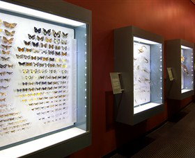 Museum And Art Gallery Of The Northern Territory - Find Attractions 3