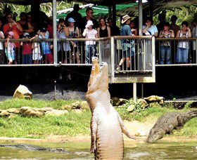 Crocodylus Park - Find Attractions 0