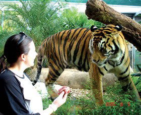 Crocodylus Park - Find Attractions 2