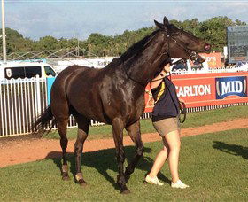 Darwin Turf Club - Find Attractions 2