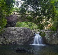 Paluma and Crystal Creek Rainforest - Find Attractions