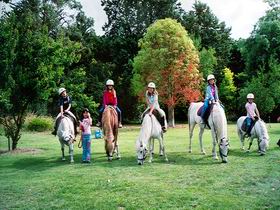 Limestone Coast Horseriding Struan