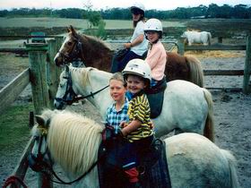 Limestone Coast Horseriding - Find Attractions 1