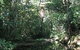 Wabunga Wayemba (Charmillan Creek Walking Track) - thumb 0