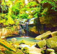 Carnarvon Gorge Carnarvon National Park - Find Attractions