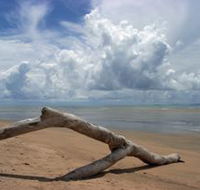 Toolakea Beach - Find Attractions