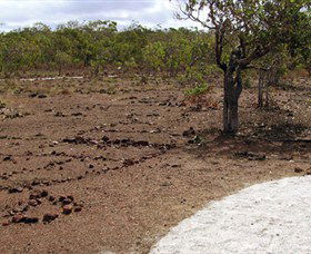 Wurrwurrwuy (Garanhan) Macassan Beach Interpretive Walk - Find Attractions 0