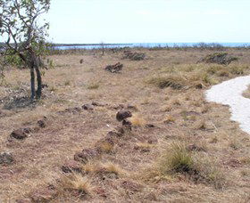 Wurrwurrwuy (Garanhan) Macassan Beach Interpretive Walk - Find Attractions 5