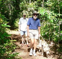 Wongabel State Forest - Find Attractions