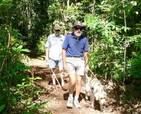 Wongabel State Forest