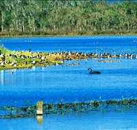 Hasties Swamp National Park - Find Attractions