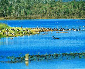 Hasties Swamp National Park - Find Attractions 0