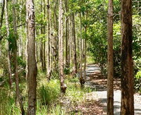 Hallorans Hill Conservation Park