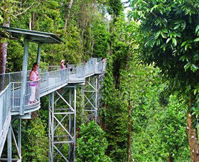Mamu Tropical Skywalk Innisfail