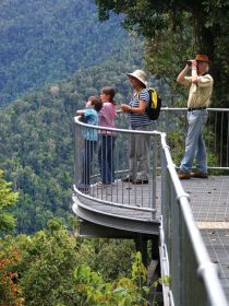 Mamu Tropical Skywalk - Find Attractions 2