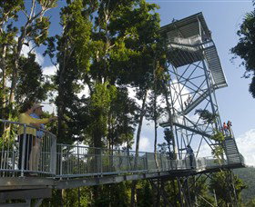 Mamu Tropical Skywalk - Find Attractions 1