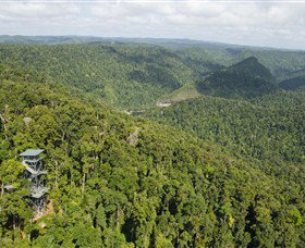 Mamu Tropical Skywalk - Find Attractions 3