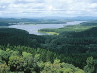 Book Dimbulah Accommodation Vacations Find Attractions Find Attractions