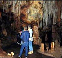 Tantanoola Caves Conservation Park - Find Attractions