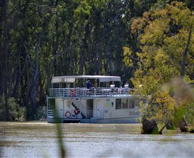 Wetlander Cruises - Find Attractions 2