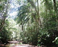 Book Julatten Accommodation Vacations Find Attractions Find Attractions
