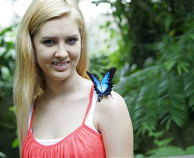 Australian Butterfly Sanctuary Kuranda