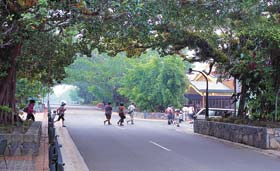 Kuranda - Village In The Rainforest - Find Attractions 1