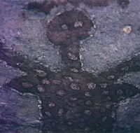 Quinkan Reserves Ancient Rock Art - Find Attractions