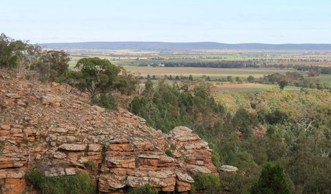 Jacks Creek Walking Track - Find Attractions 0