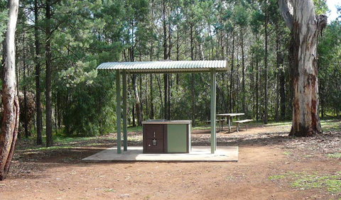 Jacks Creek Walking Track - Find Attractions 1