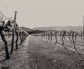 Halls Gap Estate Mount Dryden