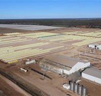 Southern Cotton Gin - Find Attractions
